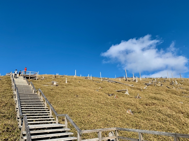 大台ヶ原のハイキングルート
