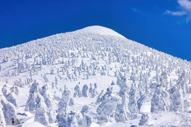 八甲田山　スノーモンスター